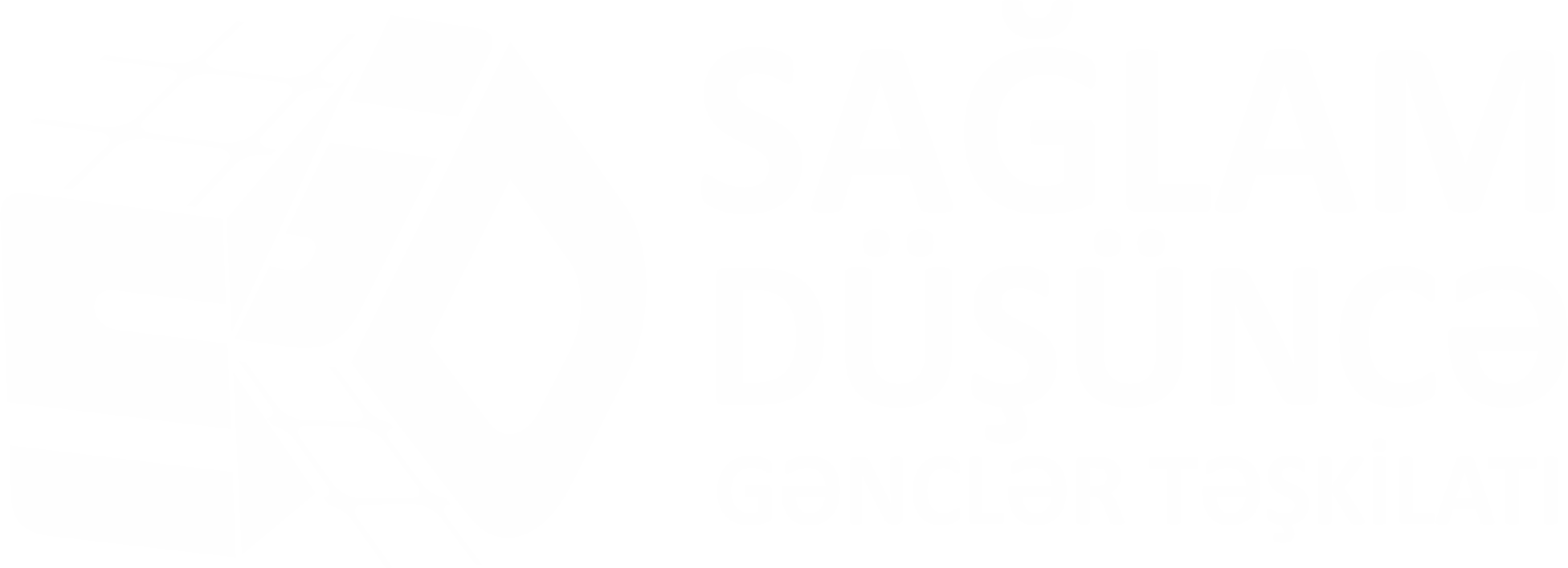 Sağlam Düşüncə Gənclər Təşkilatı - Gənclərlə Dəyişikliyə Doğru!