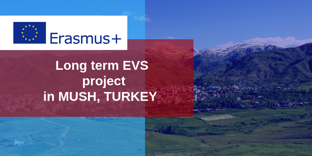 Long term EVS  project in TURKEY