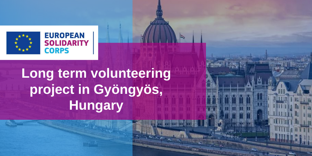 Long term volunteering project in Hungary!