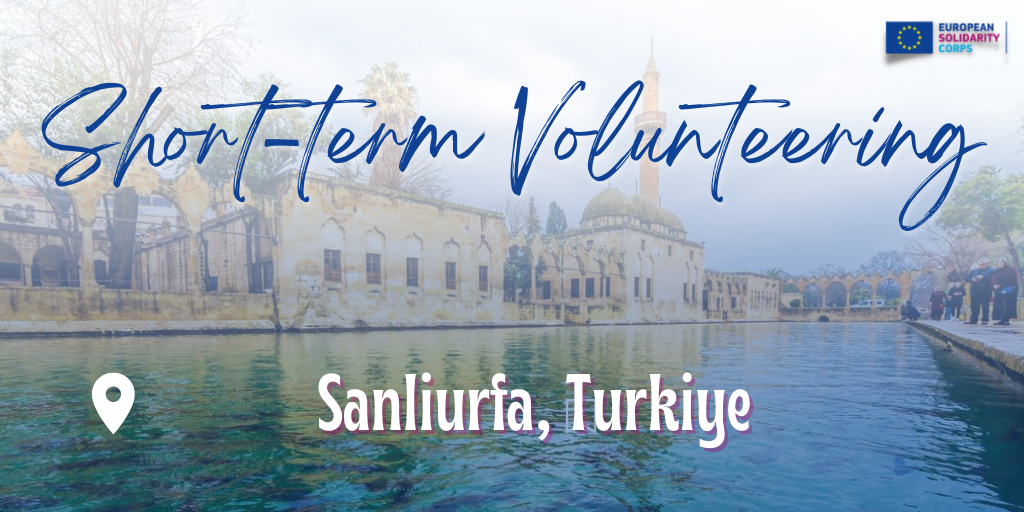 Volunteering project in Turkiye!